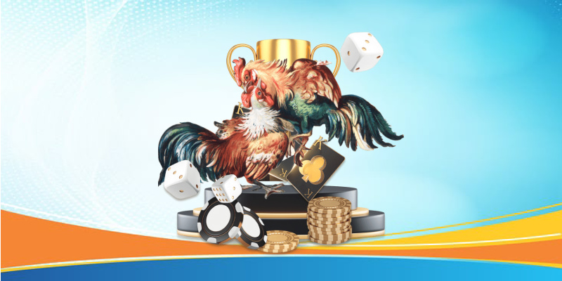 Giới Thiệu Về Đá Gà 55win